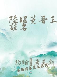 陆昭菱晋王的小说名