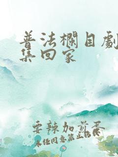 普法栏目剧十六集回家
