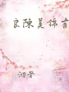 良陈美锦有声