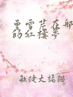 曹雪芹在哪里写的红楼梦