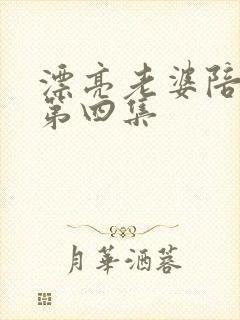 漂亮老婆陪过年第四集