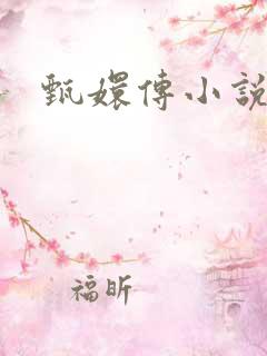 甄嬛传小说