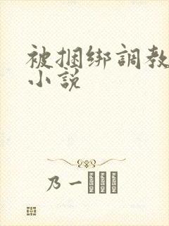 被捆绑调教高潮小说