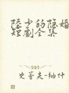 陆少的隐婚罪妻短剧全集