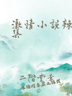 激情小说辣文合集