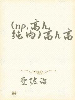 (np,高h,纯肉)高h高