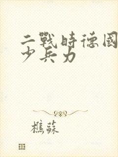 二战时德国有多少兵力