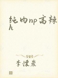 纯肉np高辣文h