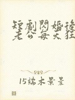 短剧闪婚后大叔老公每天狂宠我在线观看