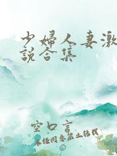 少妇人妻激情小说合集