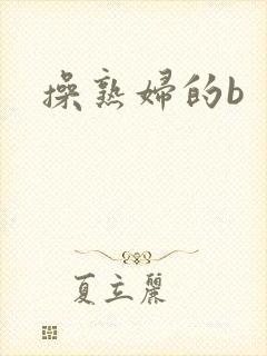 操熟妇的b