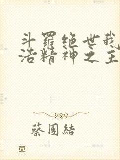 斗罗绝世我霍雨浩精神之主