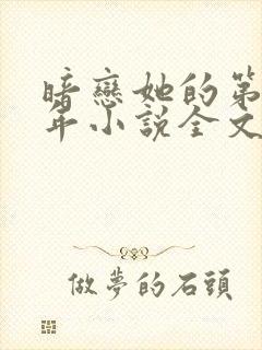 暗恋她的第十一年小说全文