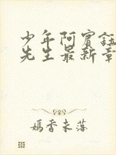 少年阿宾钰慧胡先生最新章节更新内