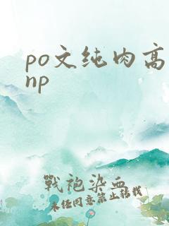 po文纯肉高hnp