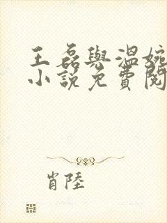 王磊与温婉赵叔小说免费阅读