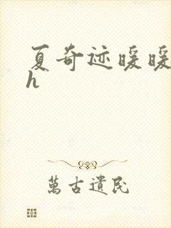 夏奇迹暖暖快穿h