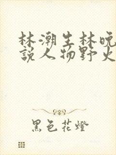 林潮生林晚晚小说人物野火txt