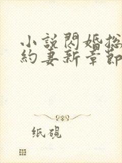 小说闪婚总裁契约妻新章节列表