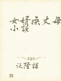 女婿操丈母娘的小说