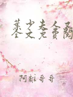 叶少夫人又跑了全文免费阅读