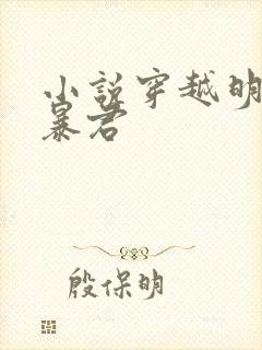 小说穿越明朝当暴君