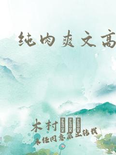 纯肉爽文高h