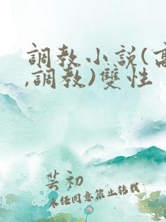 调教小说(高h,调教)双性