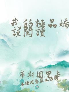 我的极品娇妻小说阅读