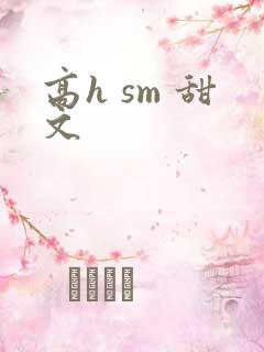 高h sm 甜文
