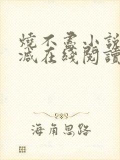 烧不尽小说无删减在线阅读