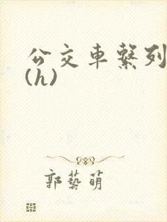 公交车系列小说(h)