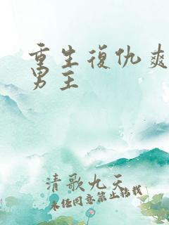 重生复仇爽文双男主