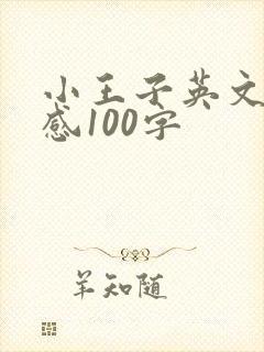 小王子英文读后感100字