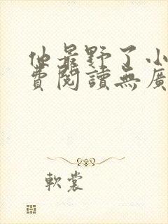 他最野了小说免费阅读无广告