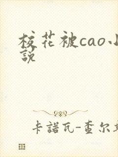 校花被cao小说