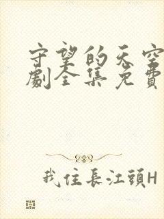 守望的天空电视剧全集免费