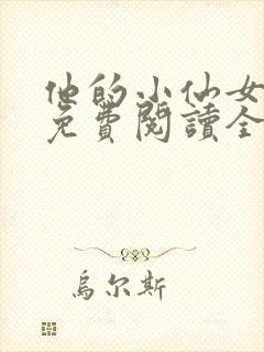 他的小仙女小说免费阅读全文