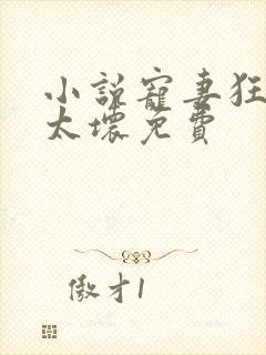 小说宠妻狂魔别太坏免费