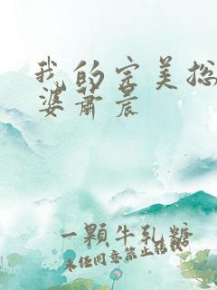 我的完美总裁老婆萧晨
