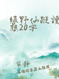 绿野仙踪读后感想20字