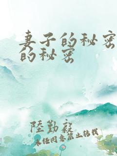 妻子的秘密妻子的秘密