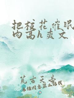 把校花催眠了纯肉高h爽文