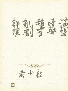 许凯赵晴演的电视剧有哪些