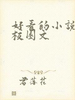 好看的小说青春校园文