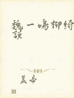 魏一鸣柳绮彤小说
