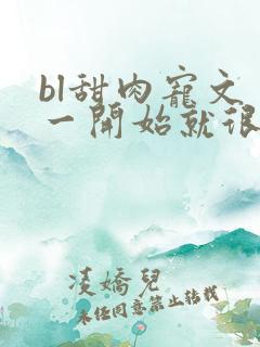 bl甜肉宠文 一开始就很宠