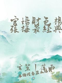 官场财色杨婷婷张梅最经典的一句