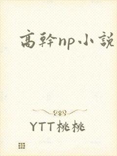 高干np小说h
