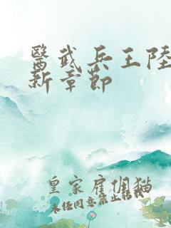 医武兵王陆轩最新章节